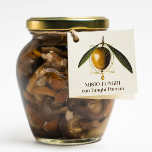 MISTO FUNGHI CON FUNGHI PORCINI